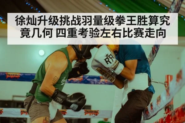 徐灿升级挑战羽量级拳王胜算究竟几何 四重考验左右比赛走向