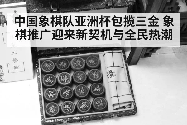 xiangqi chinese chess board pieces
