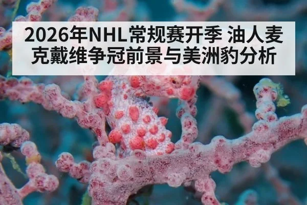 2026年NHL常规赛开季 油人麦克戴维争冠前景与美洲豹分析